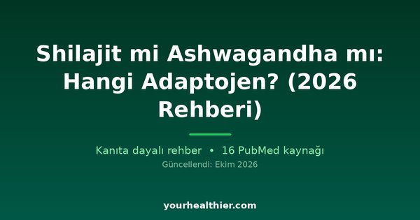Shilajit mi Ashwagandha mı: Hangi Adaptojen? (2026 Rehberi)