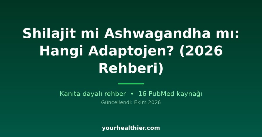 Shilajit mi Ashwagandha mı: Hangi Adaptojen? (2026 Rehberi)