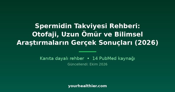 Spermidin Takviyesi Rehberi: Otofaji, Uzun Ömür ve Bilimsel Araştırmaların Gerçek Sonuçları (2026)