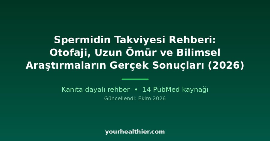 Spermidin Takviyesi Rehberi: Otofaji, Uzun Ömür ve Bilimsel Araştırmaların Gerçek Sonuçları (2026)
