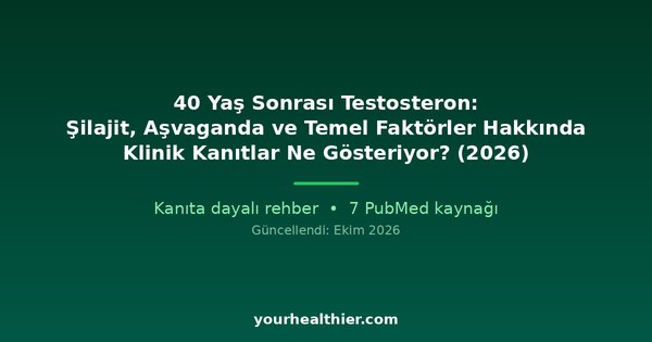 40 Yaş Sonrası Testosteron: Şilajit, Aşvaganda ve Temel Faktörler Hakkında Klinik Kanıtlar Ne Gösteriyor? (2026)