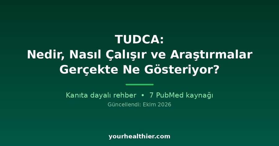 TUDCA: Nedir, Nasıl Çalışır ve Araştırmalar Gerçekte Ne Gösteriyor?