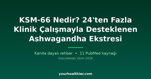 KSM-66 Nedir? 24’ten Fazla Klinik Çalışmayla Desteklenen Ashwagandha Ekstresi