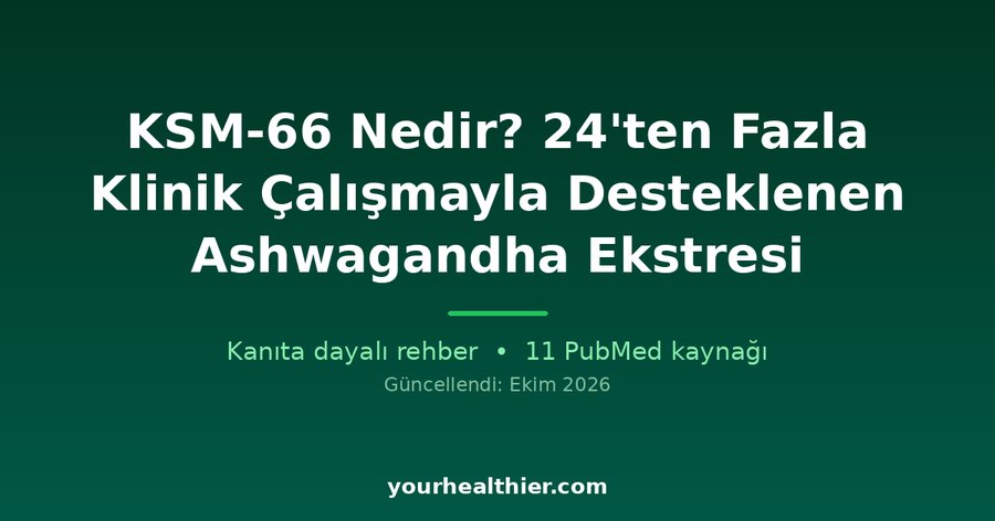 KSM-66 Nedir? 24’ten Fazla Klinik Çalışmayla Desteklenen Ashwagandha Ekstresi