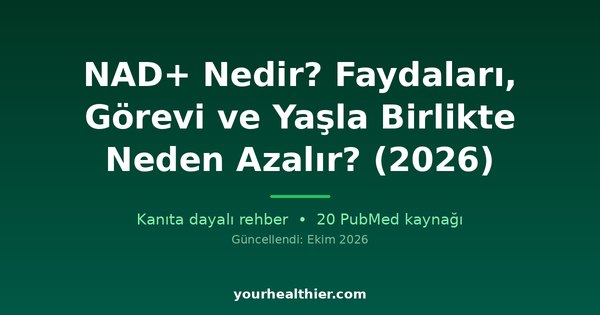NAD+ Nedir? Faydaları, Görevi ve Yaşla Birlikte Neden Azalır? (2026)
