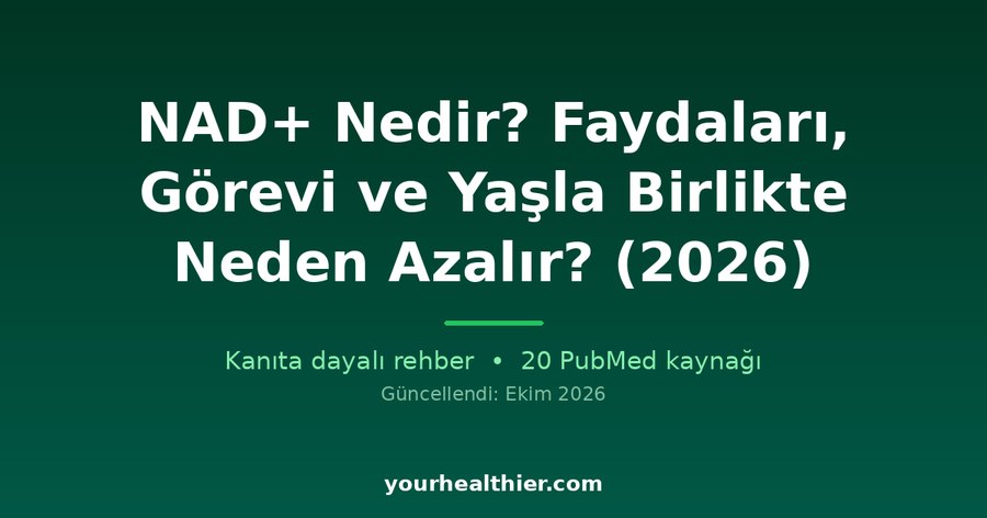 NAD+ Nedir? Faydaları, Görevi ve Yaşla Birlikte Neden Azalır? (2026)
